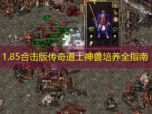 1.85合击版传奇道士神兽培养全指南