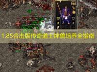 1.85合击版传奇道士神兽培养全指南