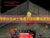 1.85传奇合击战士难道不该慎重选宝宝吗？