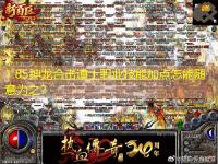 1.85神龙合击道士职业技能加点怎能随意为之？