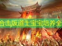 1.85合击版道士宝宝培养全解析