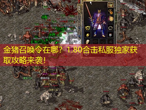 金猪召唤令在哪？1.80合击私服独家获取攻略来袭！