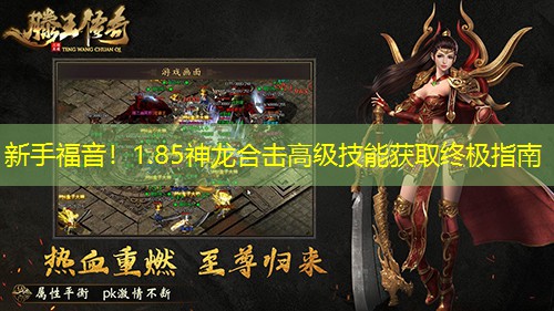 新手福音！1.85神龙合击高级技能获取终极指南