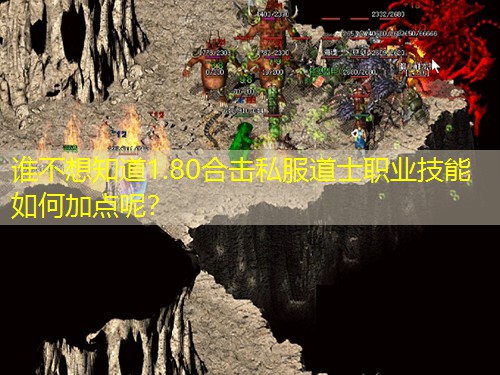 谁不想知道1.80合击私服道士职业技能如何加点呢？