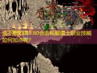 谁不想知道1.80合击私服道士职业技能如何加点呢？