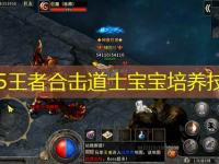 1.85王者合击道士宝宝培养技巧