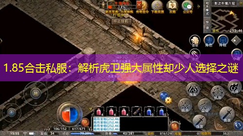 1.85合击私服：解析虎卫强大属性却少人选择之谜