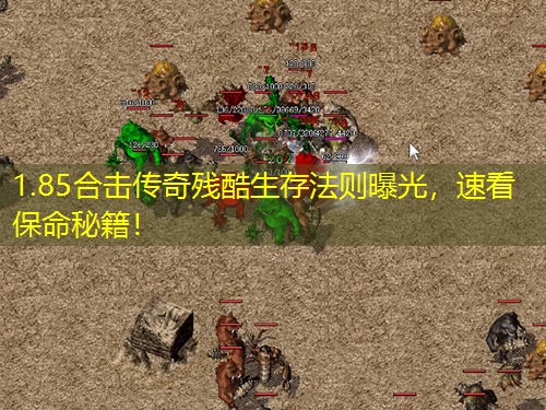 1.85合击传奇残酷生存法则曝光，速看保命秘籍！